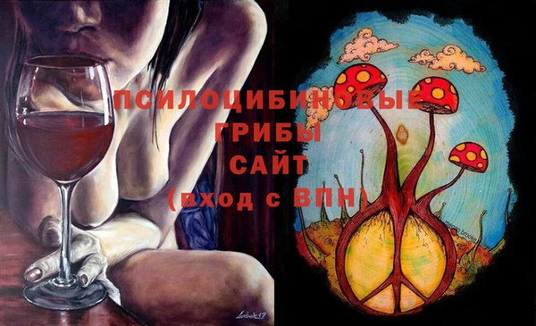 mdpv Бронницы