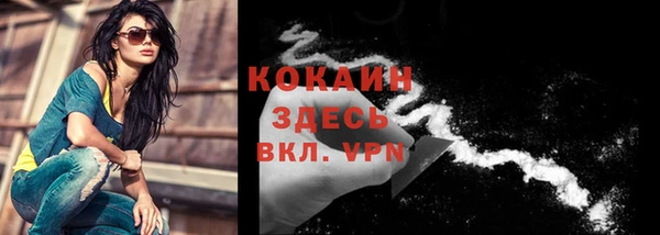 прущий лед Бородино