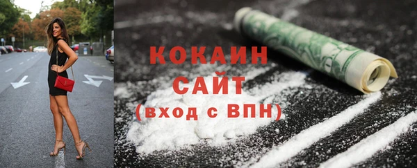 прущий лед Бородино