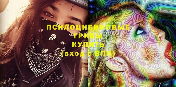 молекула духа Богородицк